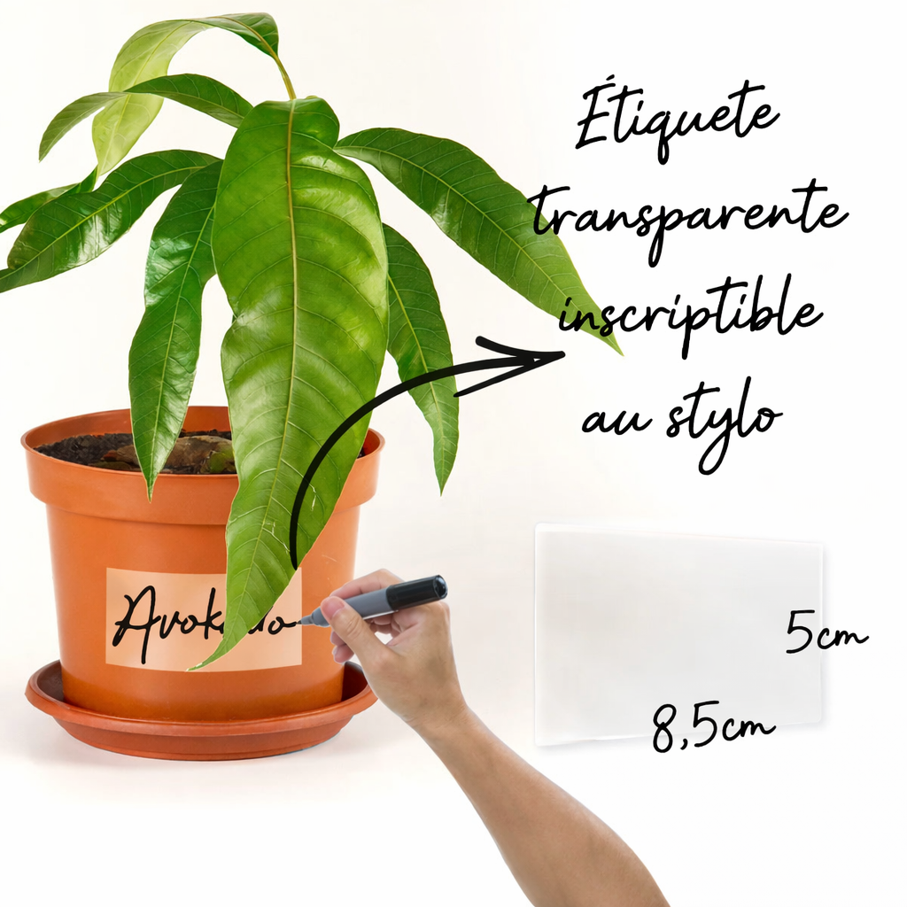 Étiquettes Transparentes Amovibles BOSS TAPE 50×80 mm – 30 Pièces