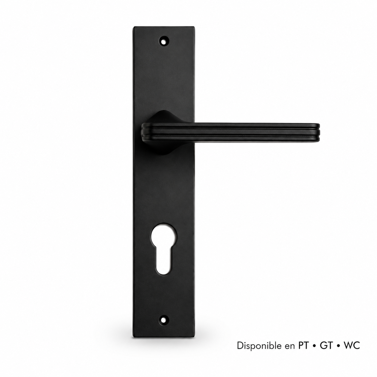 Poignée porte sur plaque MARIANA VIOLA finition noir mat RIVE BLOC disponible en PT GT WC – sqes menzah 8 bricolage meilleur prix en tunisie
