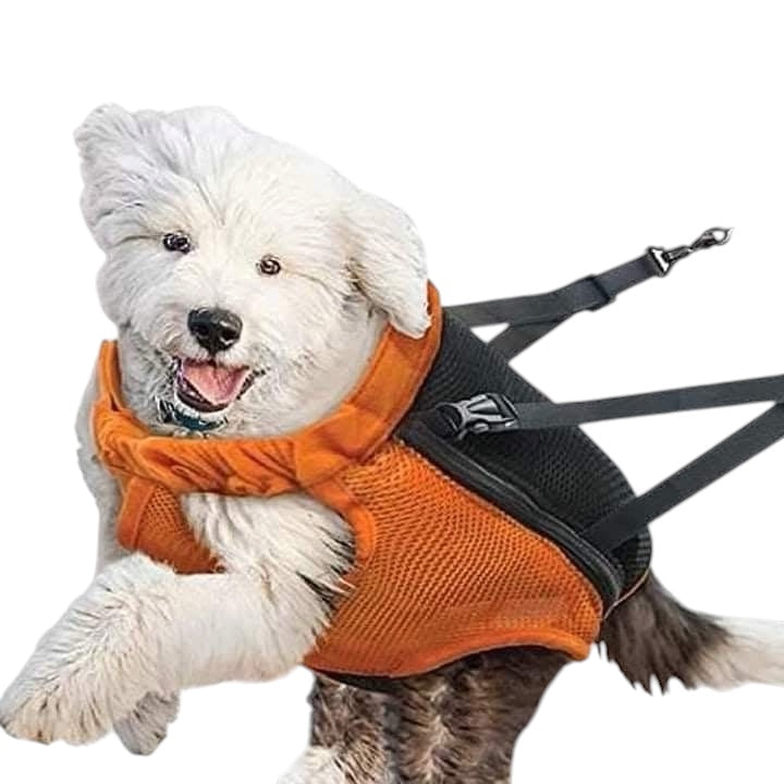 Sac de Transport Suspendu pour Chat & Chien – Jaquette Confort Portable