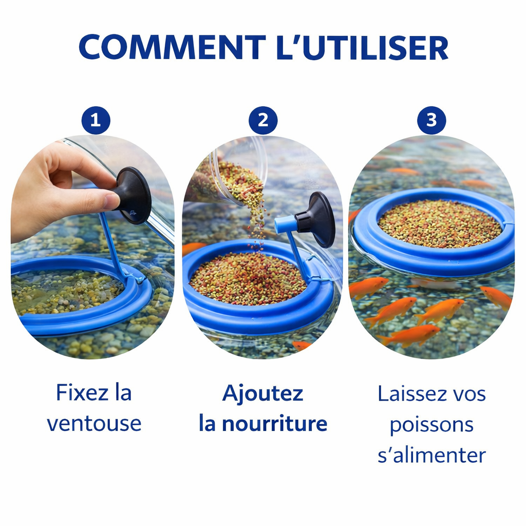 Mangeoire Flottante pour Poisson d'Aquarium avec Ventouse