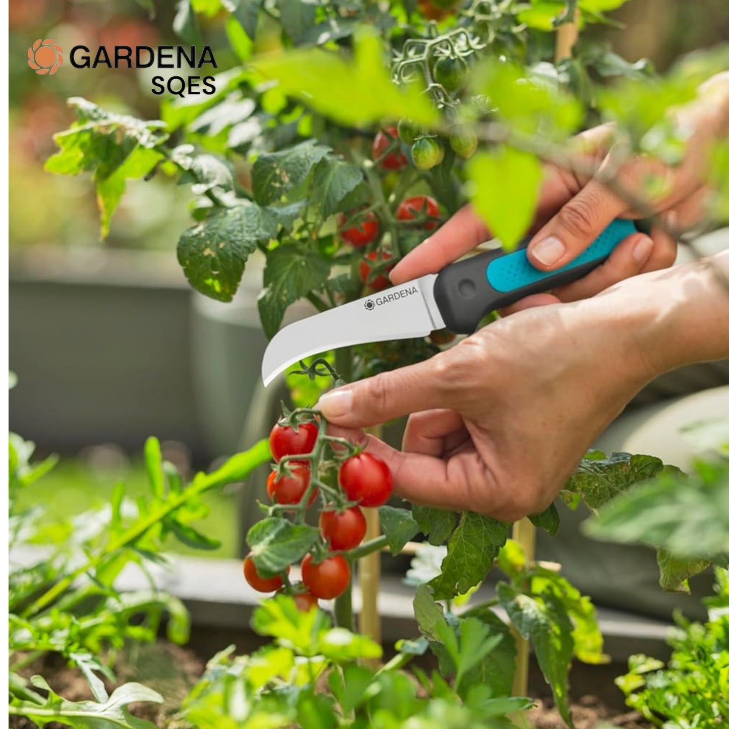 Couteau de Récolte + Étui et Aiguiseur GARDENA VeggieCut — Réf. 12211-20