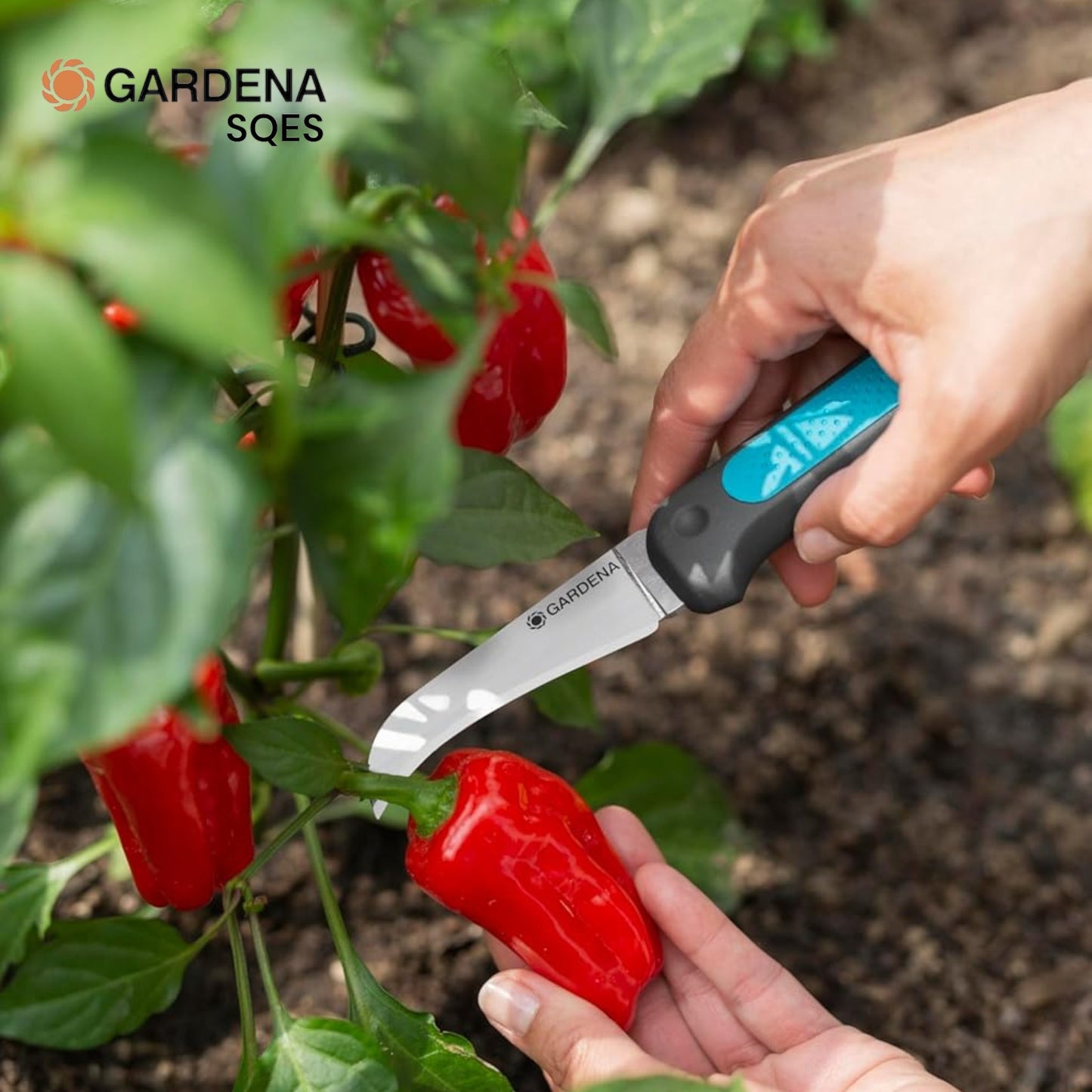 Couteau de Récolte + Étui et Aiguiseur GARDENA VeggieCut — Réf. 12211-20