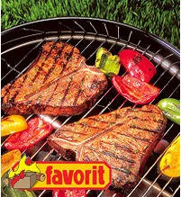 Allume barbecue - liquide 1L - SQES