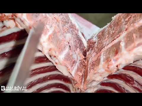 Scie à sabre 800W HUMHON avec 2 lames inox offertes pour découpe viande bois métal en Tunisie