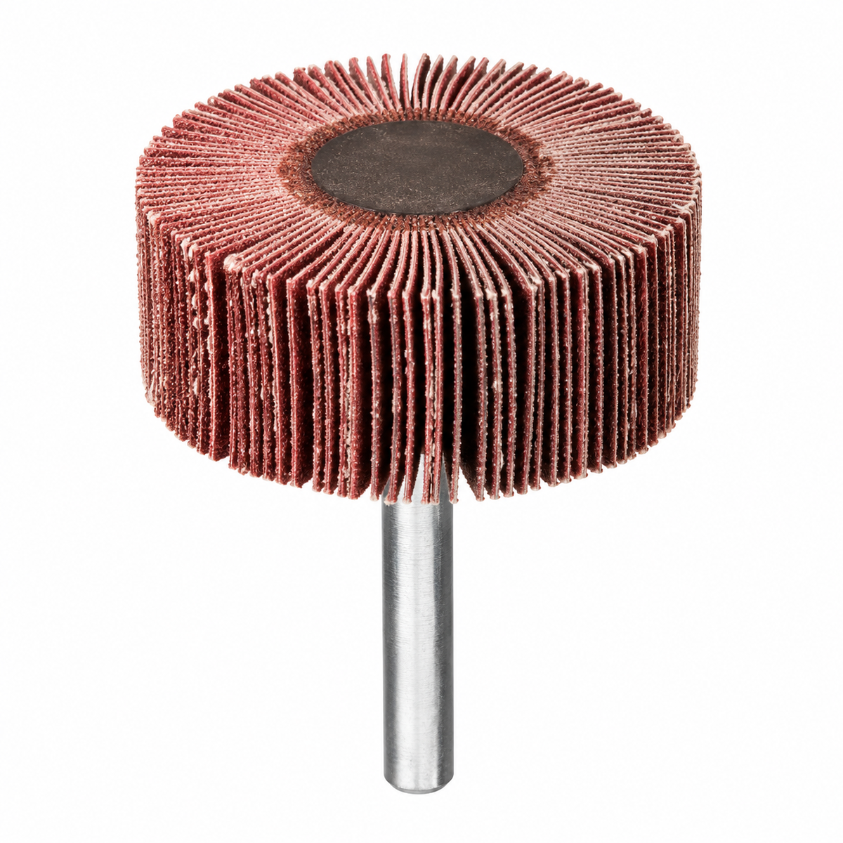Roue à lamelles DS Professional Tools RF038 30×25×6 grains G60 G100 G120 | SQES Tunisie
