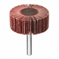 Roue à lamelles DS Professional Tools RF038 60×30×6 grains G60 G80 G120 | SQES Tunisie
