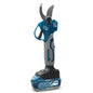 Sécateur électrique brushless ADEGSO AD-40098 21 V coupe 25 mm avec 2 batteries | SQES Tunisie
