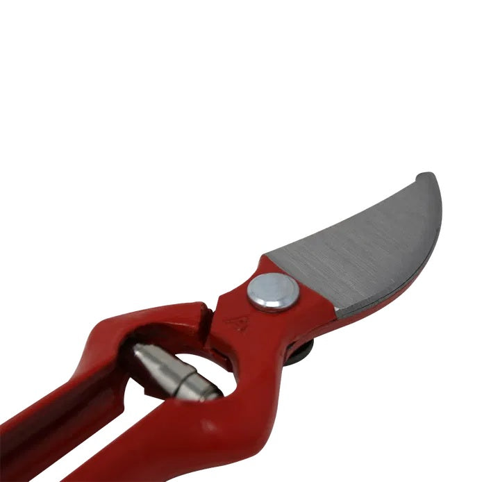 Sécateur Forgé Bellota – Récolte & Élagage 25mm (18 / 20 / 22 cm)